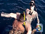 Sabine Mallory Gets Rammed And Jizzed Underwater
():  , , 
: 24  2012